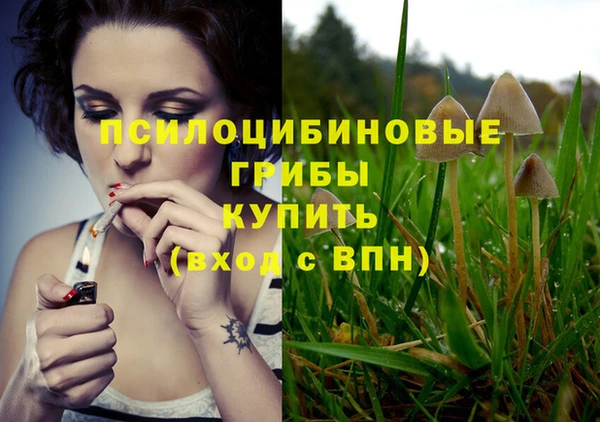 spice Армянск